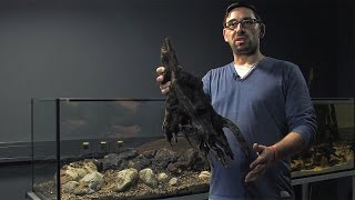 Einrichten (step by step) eines Biotop-Paludariums mit Alexander Krohn