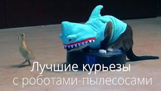 Лучшие курьезы с роботами-пылесосами