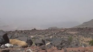 سهيل .. أول قناة تصل الى قمة جبل المنارة الاستراتيجي بصنعاء بعد تحريره من مليشيا الحوثي والمخلوع