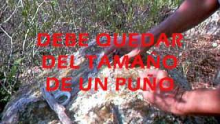 LA TRAMPA de lazo (snare simple)