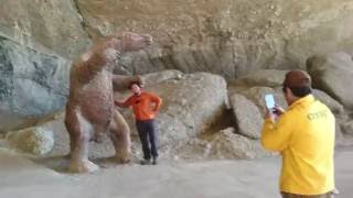 PUERTO NATALES - CUEVA DEL MILODON
