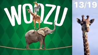 Цирк Кобзов Харьков 2016 WOOZU Страусы и Жираф (13/19) Circus 馬戲團