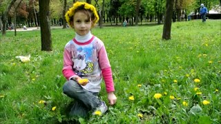 Как сделать мед из одуванчиков (одуванчиковый мёд)