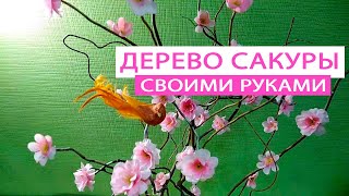 Дерево сакуры своими руками | DIY Sakura tree | Поделка в детский сад | Поделки для детей
