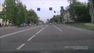 сохатый (лось) бегает по центру смоленска