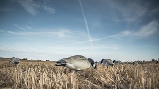 Goose Hunting: X Marks the Spot - Fowled Reality