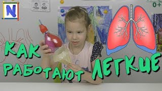 104 Как работают легкие или как мы дышим Нет, я сама Netyasama Развивающие игры для детей