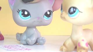 ♥ Littlest Pet Shop: Красотка. Нелюбимая. (5 сезон 6 серия) ♥
