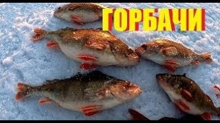 ГОРБАЧИ ДАЛИ ЖАРУ!!! Закрытие сезона. Весна март 2019.