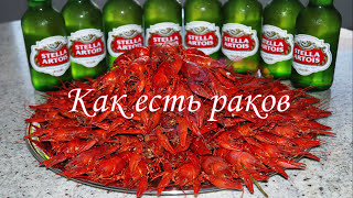 Как Есть Раков. Выпуск №299