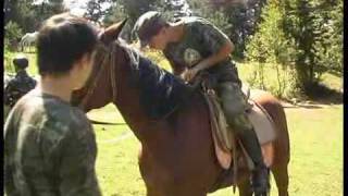Верховая