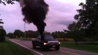Devin's dodge