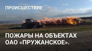 Пожары на объектах ОАО «Пружанское».