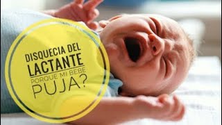 Disquecia del Lactante - Como Mejoro Mi Bebe? - Pujo en los Bebes