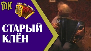 Старый клен - в гостях у баяниста