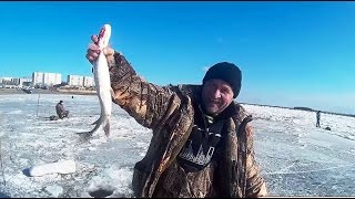 Ловля рыбы на ХАПУЖКИ. Река Амур  Щука, Карась!