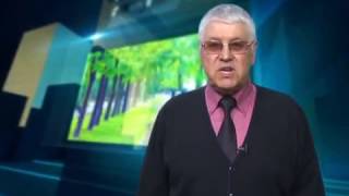 Профессиональный праздник отмечают работники сферы ЖКХ и бытового обслуживания Биробиджана