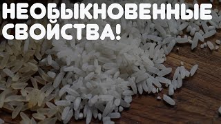 ВОТ ЧТО ПРОИЗОЙДЕТ, если поместить фрукты в рис! Как давно я мечтала узнать этот секрет!