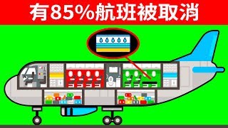 是什麼原因毀了有水床和有機餐點的航空公司
