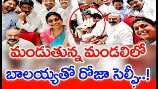 బాలయ్యతో రోజా సెల్ఫీ : MLA Roja Selfie With #Balakrishna @ Assembly | MAHAA NEWS EXCLUSIVE