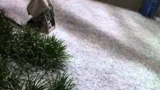 Snowing in Burbank, CA (2-26-2011)