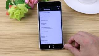 Blackview Alife P1 Pro CM12 1