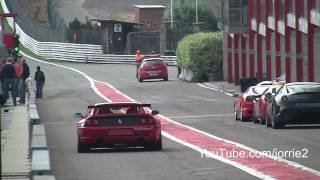 Ferrari F355 Challenge + 599 HGTE Sound!! - 1080p HD