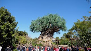 Disney's Animal Kingdom 2020 Complete 4K Walkthrough Tour at Walt Disney World Orlando Florida