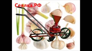 Ручная сажалка для чеснока, лука севка