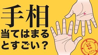天才診断！すごい手相6選 当てはまってるかチェック！【モルモル雑学】