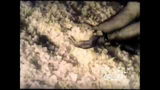 Guajira Indians of Colombia gather salt from the sea, 1957