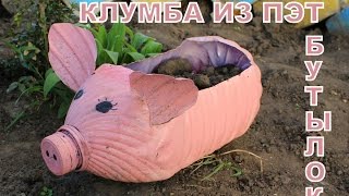 Клумба свинья или поросёнок из пластиковой бутылки