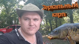 Зеркальный Карп Кубань