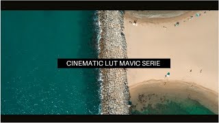 CINEMATIC LUT DRONE MAVIC