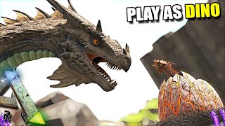 WYVERN UPDATE !! WYVERN LAIR, NEW ATTACKS AND NESTS | PLAY AS DINO | ARK SURVIVAL EVOLVED