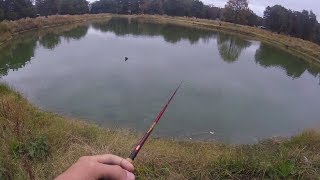 Fishing a SECRET Pond!!! - (Never Been Fished Before)