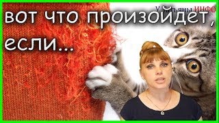 Об ЭТОМ не знает даже твоя МАМА! На что способен УКСУС...