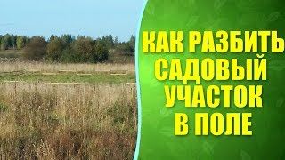 Как разбить новый садовый участок в поле?