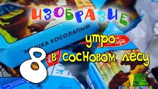 ИЗОбразие 08. Утро в сосновом лесу. Школа Потомучки