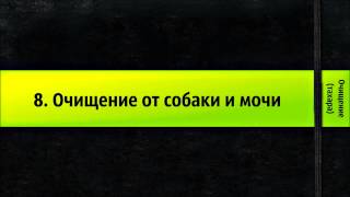 8. Очищение от собаки и мочи - Очищение (тахара)