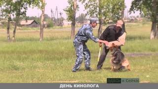 ДЕНЬ КИНОЛОГА