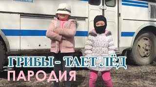 Грибы - Тает лед (ПАРОДИЯ АМИНКА ВИТАМИНКА и АДЕКА ПЕРСИК)