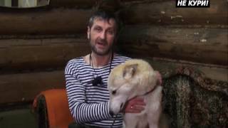 Охота на кабана с лайкой. Охота с лайкой . 2018