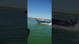 Полет Волжанка 46 под мотором Сузуки DF60 ATL