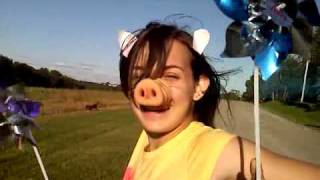 NEW Geico Commercial Parody--Piggy