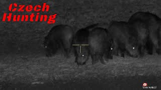 Night Wild Boar Hunting Compilation with ATN x-side 4K Pro/Sestřih z lovu divočáků