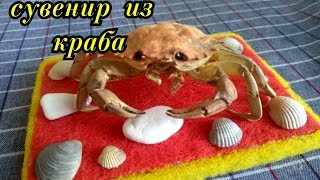 Сувенир из краба. Как сделать сувенир своими руками из краба