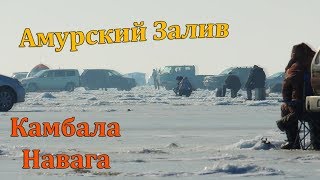 Рыбалка в Тавричанке Ловля Камбалы и Наваги на Поплавок Зимой