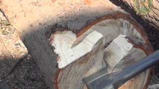 Прикордонники виявили близько 25 тис. пачок сигарет