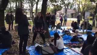 Osaka YouTube Hanami Party